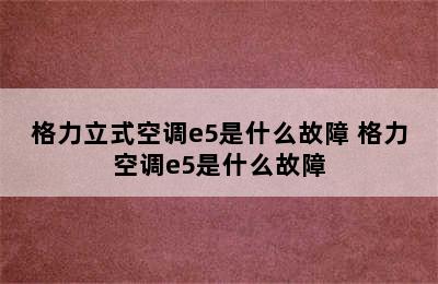 格力立式空调e5是什么故障 格力空调e5是什么故障